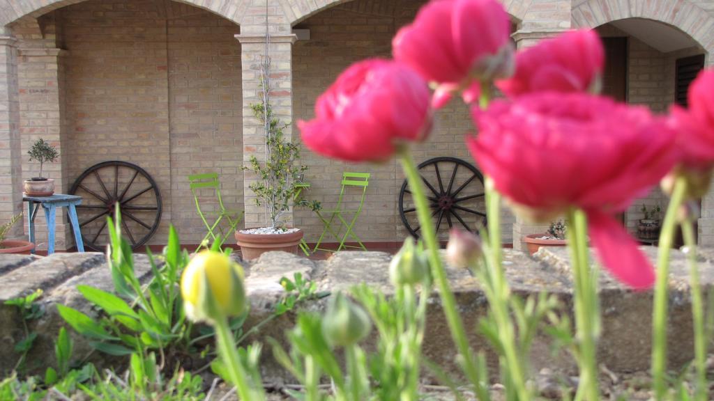 Bed And Breakfast Aratro & Rosmarino Civitanova Marche Quarto foto