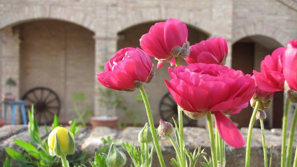 Bed And Breakfast Aratro & Rosmarino Civitanova Marche Quarto foto